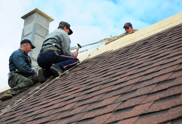 Best Roof Maintenance Services  in Sterling, KS